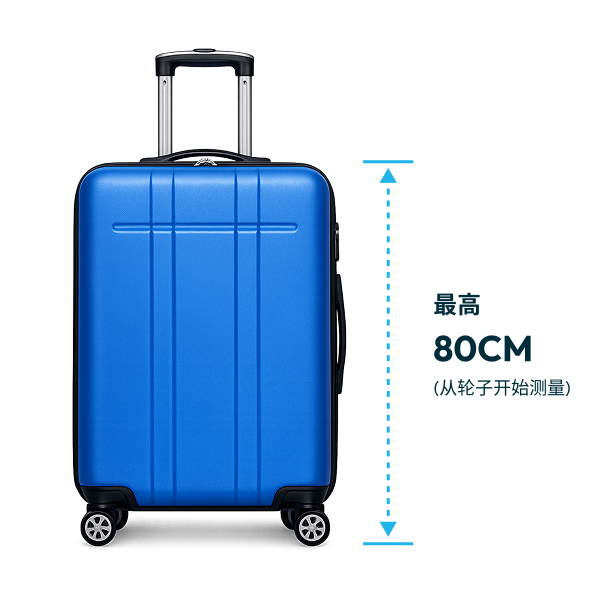 Combo Luggage